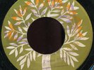 Prince Buster - Intensified Dirt JA Olive Blossom BLANK 7