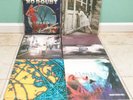 Oasis Violent Femmes The Strokes Modest Mouse Alanis Morissette No Doubt Vinyls