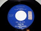 Garage /psych - Terry Dee & the road runners ( feel no pain) Ventura records