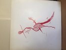 Sun City Girls Valentines From Matahari lp Majora DIY Folk Psych SCG Original