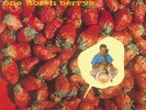 Chuck Berry - One Dozen Berrys - NEW SEALED import LP - His hit filled 2nd album