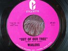 The Wailers - Out of Our Tree / I Got Mine 45 killer garage