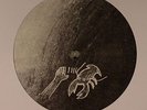 PALMS TRAX - Equation EP - Vinyl (12