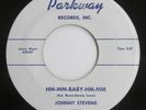 RARE Doo-Wop Johnny Stevens 45 Record Apple Taffy Hm-Mm-Baby-Hm-Mm 1959 Parkway