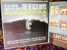 =MONO= MINTY CLEAN 1963 Rainbow  = THE BEACH BOYS   
