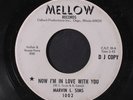 MARVIN L. SIMS: What Can I Do / Now I'm In Love With You 45 (dj, wol, Northern