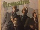 THE REMAINS Rare Garage Psych Nuggets LP, Epic 1966 Stereo VG+