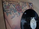 sUPERTRAMP 