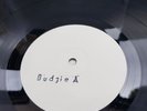 BUDGIE  - BANDOLIER - RARE MCA 1975 WHITE LABEL TEST PRESS NM