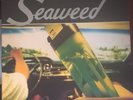 Seaweed Spanaway LP 1995 Hollywood Records HR62009-1