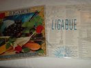 LIGABUE: 1° e 2° LP (LIGABUE) E (LAMBRUSCO COLTELLI E POP CORN)+++++++++++
