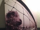 Pearl Jam - Vs. - Original Vinyl - EX Condition