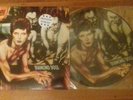 DAVID BOWIE - Diamond Dogs Ltd. Ed. Picture Disc Vinyl LP