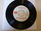 ARIZONA GARAGE BAND 45 RPM RECORD - TWENTIETH CENTURY ZOO - VAULT 961 - PROMO