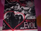 SONIC YOUTH   EVOL POSTER   Orig 1986 promo.