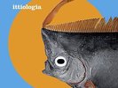 Alessandro Alessandroni / Tomaso  Ittiologia LP Intervallo 004 Ambient Expé