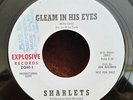 Sharlets GLEAM IN HIS EYES (RARE DOO WOP PROMO 45) #1 PLAYS VG++ NO NOISE