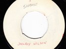 DELROY WILSON 1974 WHITE LABEL *ITS A SHAME/ SHAME VERSION* REGGAE SOUL