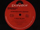 ALTON MCCLAIN & DESTINY: It Must Be Love / Same 12 (dj) Soul