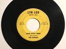 The Rogues: How Many Times | Rare Tulsa Garage Punk 1965 Lyn Lou *HEAR*