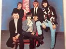 Here Are The Chesterfield Kings LP [MIRROR 9] RARE 1982 GARAGE ROCK VINYL, VG+