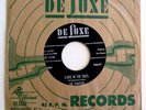 THE CHANTERS RARE DOO WOP 45  ROW YOUR BOAT/STARS IN THE SKIES