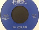 Bobby Garrett 60s Northern Soul 45 on Mirwood   My Little Girl   Hear