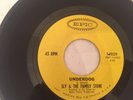 SLY & THE FAMILY STONE - UNDERDOG / BAD RISK - RARE 1967 EPIC RECORDS 45 RPM