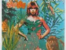 Aquarian Dream - Fantasy LP - Elektra SEALED