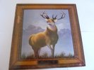 KILLDOZER TWELVE POINT BUCK  VINYL LP EXC CONDITION WITH INSERTS