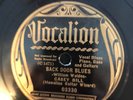Vocalion 03250 CASEY BILL Back Door Blues 