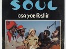 SOUL - Can You Feel It LP - Musicor