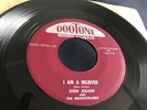 DON JULIAN MEADOWLARKS I Am A Believer / Boogie Woogie Teenage  RARE DooTone 405