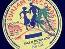 TOP CAT - Take It Down Low - Sunjam 12