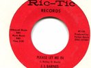 J . J.   BARNES   **     Please Let Me In   **    Ric -  Tic   -  60 's Detroit