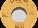Unity 45 Springtime Long-Go Private 60's Northern Soul John Papi Organ Synth