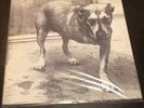 Alice In Chains Self Titled LP Vinyl Record 1995 Cantrell Layne US Original RARE