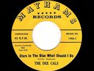 '60 R&B/DooWop DEE CALS Stars In the Blue/A Wonderful Day MAYHAMS 1960 M- HEAR