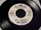 JERRY WALLACE Little Miss Tease/Mr Lonely TEEN ROCKER 45 CHALLENGE Promo HEAR