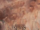 AGNES OBEL - CITIZEN OF GLASS   VINYL LP NEU