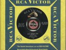 JIMMY DELL SHE WONT PET TEENY WEENY ROCKABILLY BOPPER 45 RPM RECORD