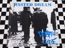 DEATH SIDE - WASTED DREAM LP ANTI CIMEX TERVEET KADET DISCLOSE CONFUSE ZOUO GISM