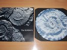 THE SUNDAYS Reading Writing & Arithmetic UK PICTURE DISC LP 1990 ROUGH TRADE