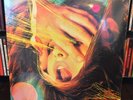 Flaming Lips Embryonic SEALED 2LP COLORED VINYL audiophile psych
