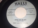 TERRY AND THE PIRATES WHAT DID HE SAY /TALK ABOUT THE GIRL RARE VALLI RECORDS 45