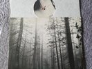 THE CURE - A FOREST - 12
