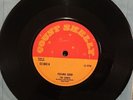 THE SAINTS Feeling Good How Long COUNT SHELLY CS043 1973 Vinyl Single EX