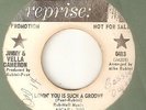 JIMMY & VELLA CAMERON Lovin You Is Such A Groove REPRISE PROMO  NORTHERN SOUL 45