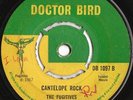 RARE ROCKSTEADY UK DOCTOR BIRD LABEL THE FUGITIVES 