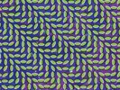 ANIMAL COLLECTIVE - MERRIWEATHER POST PAVILION 2 VINYL LP NEW